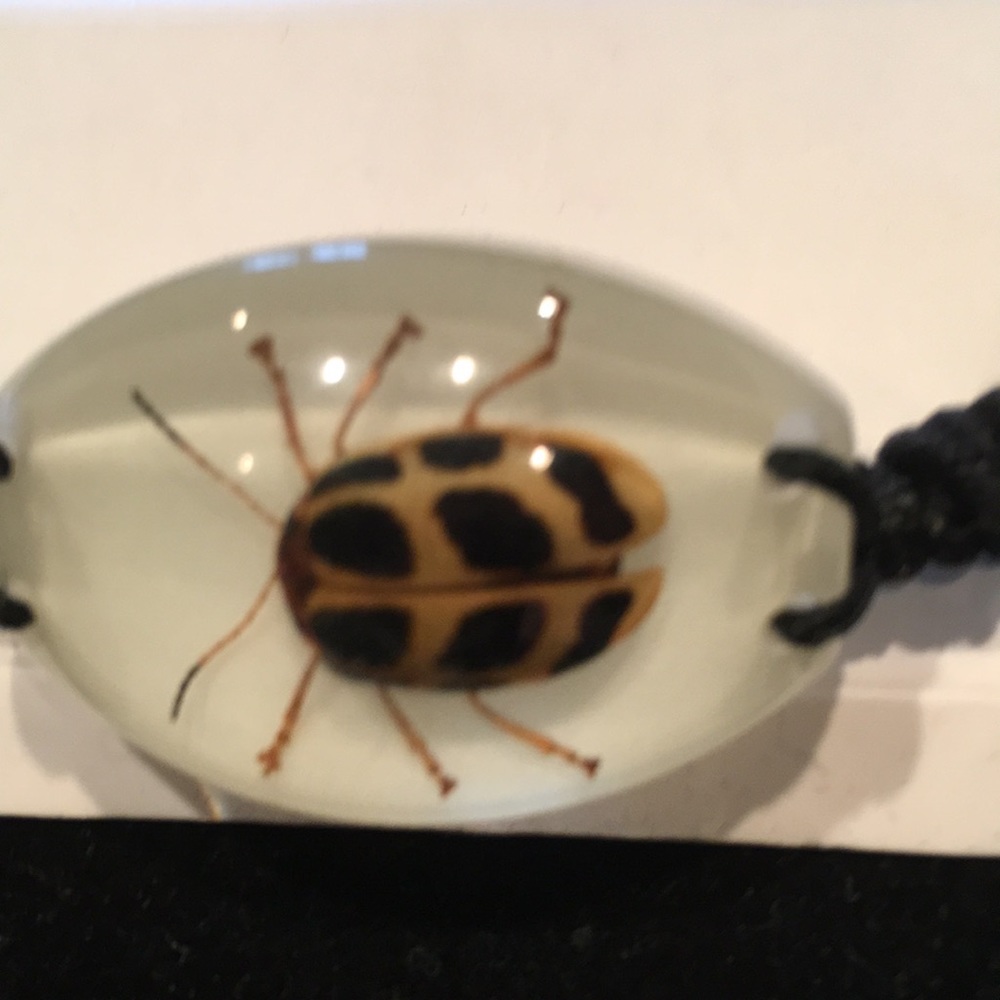 NWT Hot Topic Beetle Bracelet - Picture 2 of 3